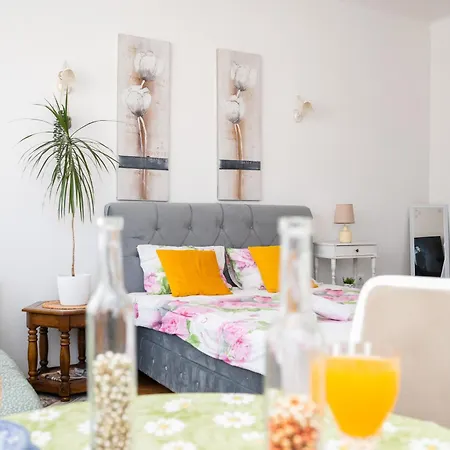 Central City Studio Apartment Apartment